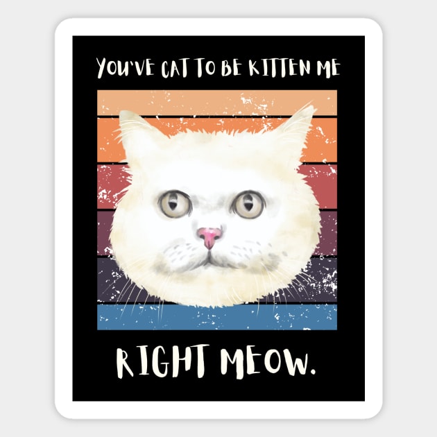 You've got to be kitten me right meow. Magnet by My-Kitty-Love